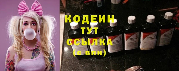 гидра Богородск