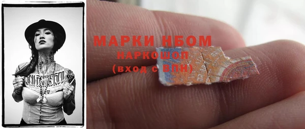 гидра Богородск