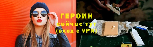 гидра Богородск