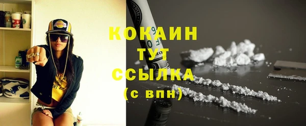 эйфоретик Богданович