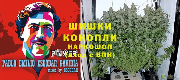 jwh Богородицк