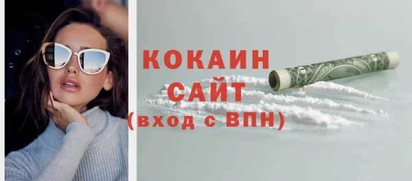 гидра Богородск