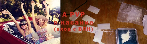 эйфоретик Богданович