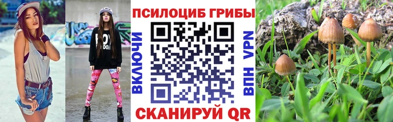 KRAKEN зеркало  Данков  Галлюциногенные грибы мицелий 